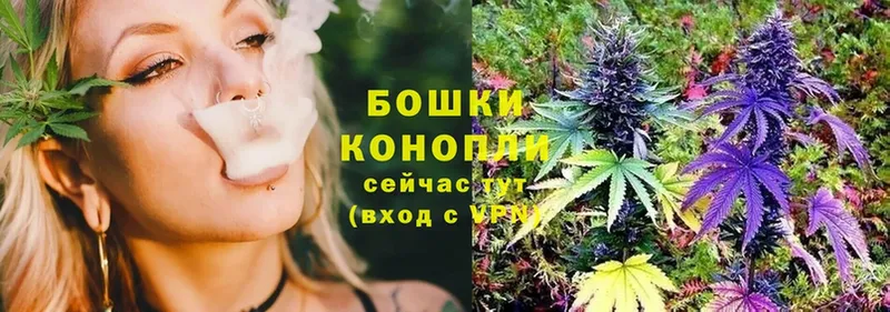 Шишки марихуана марихуана  даркнет сайт  Гвардейск 